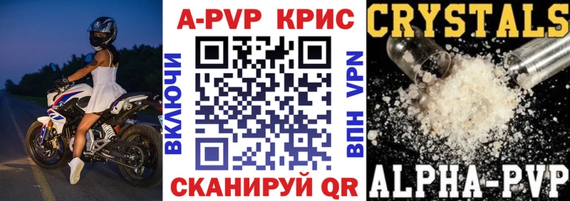 A PVP СК КРИС  Кимовск 
