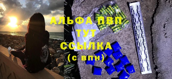стаф Верхний Тагил