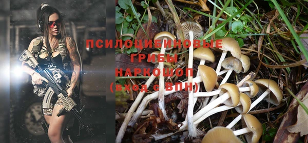 дурь Бронницы