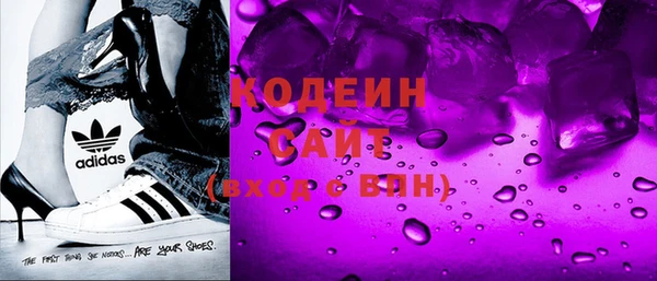 шишки Слюдянка