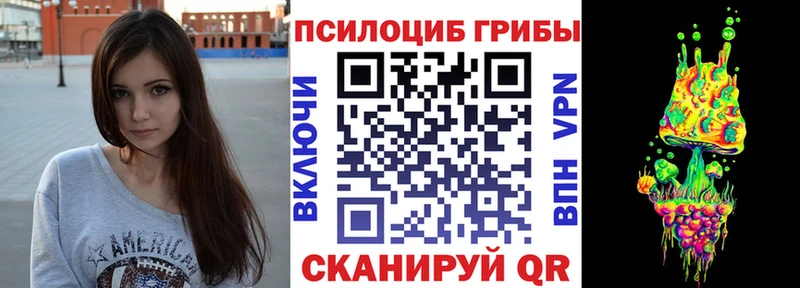 Галлюциногенные грибы Psilocybine cubensis  KRAKEN ссылка  Кимовск  купить  